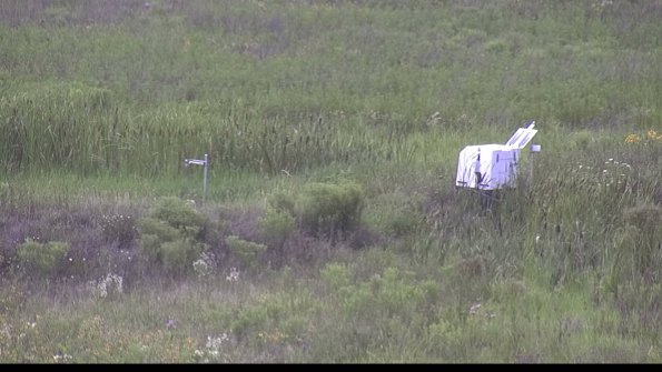 capture-5-23-07-31_15-17-31-21