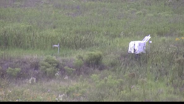 capture-5-23-07-31_15-24-00-77