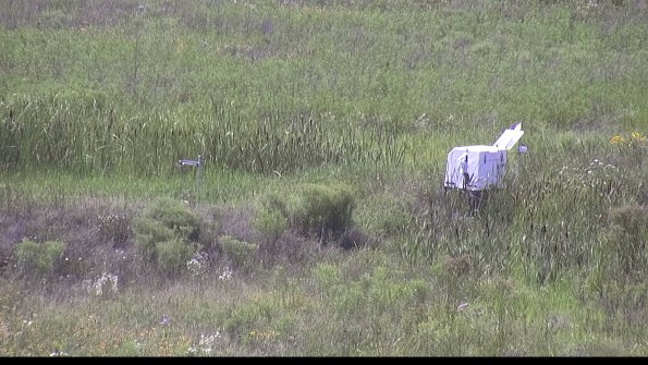 capture-5-23-07-31_15-50-01-00