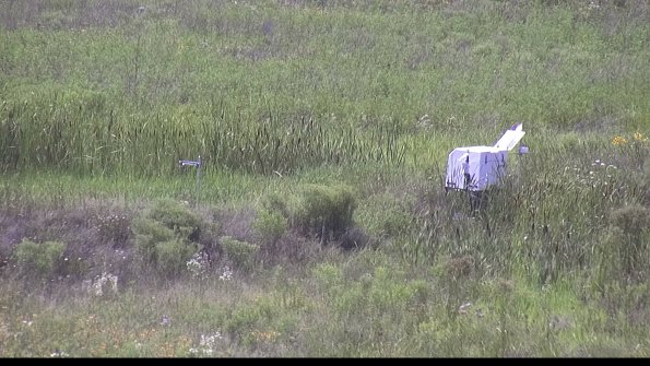 capture-5-23-07-31_16-03-00-86