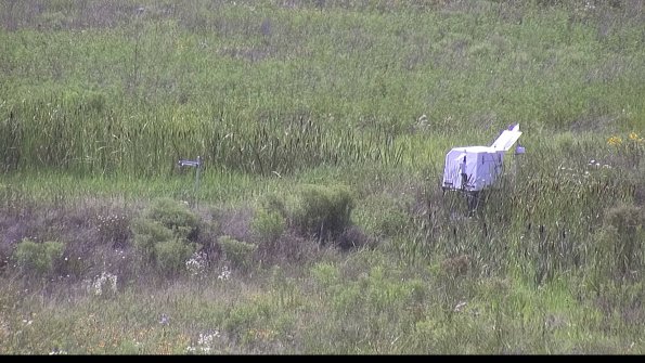 capture-5-23-07-31_16-05-11-09