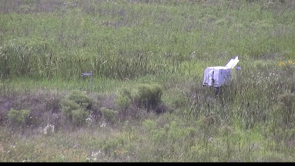 capture-5-23-07-31_16-07-20-98