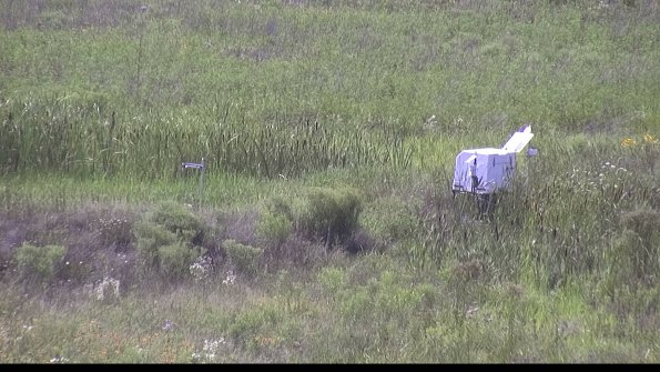 capture-5-23-07-31_16-13-51-01