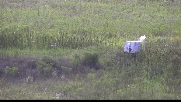 capture-5-23-07-31_16-50-40-89