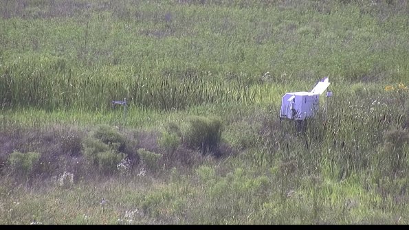 capture-5-23-07-31_17-12-20-76