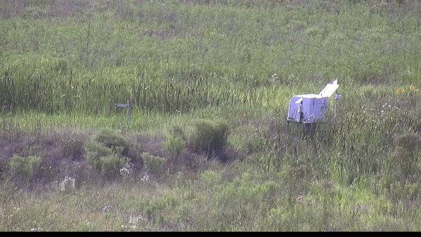 capture-5-23-07-31_17-14-30-89