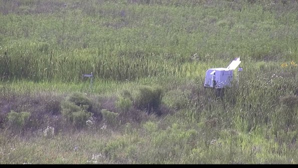 capture-5-23-07-31_17-29-41-01