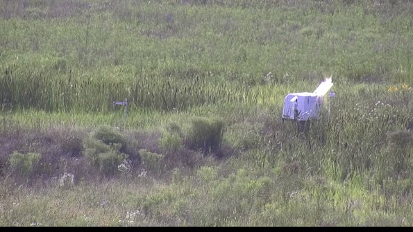 capture-5-23-07-31_17-51-20-95