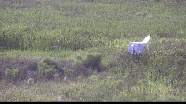 capture-5-23-07-31_17-55-40-94