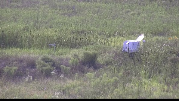 capture-5-23-07-31_18-02-10-93