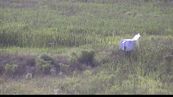 capture-5-23-07-31_18-15-10-92