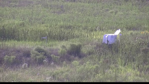 capture-5-23-07-31_18-17-20-85