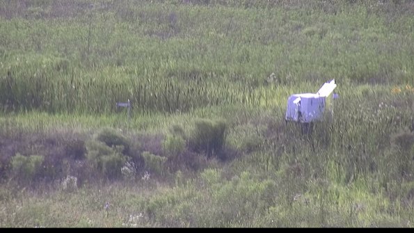 capture-5-23-07-31_18-19-30-88