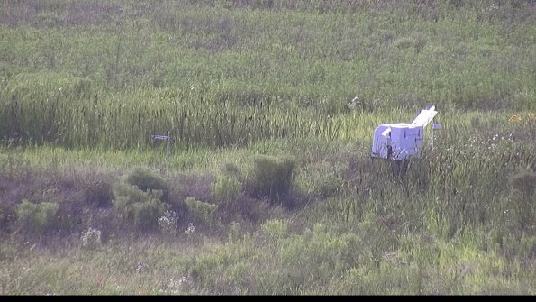 capture-5-23-07-31_18-34-40-89