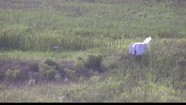 capture-5-23-07-31_18-36-50-89