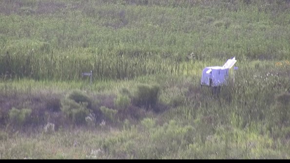 capture-5-23-07-31_18-43-20-74