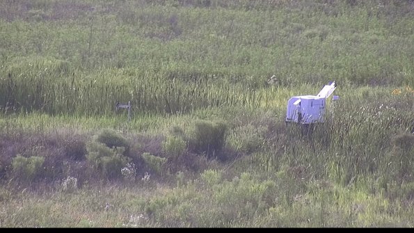 capture-5-23-07-31_18-47-40-74