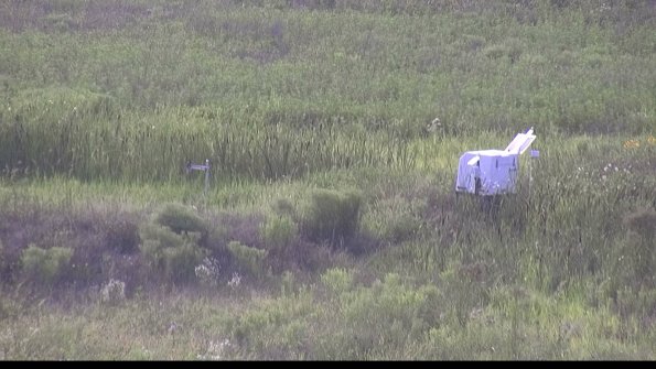 capture-5-23-07-31_18-49-50-90