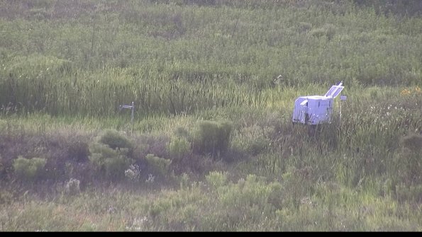 capture-5-23-07-31_19-32-50-73