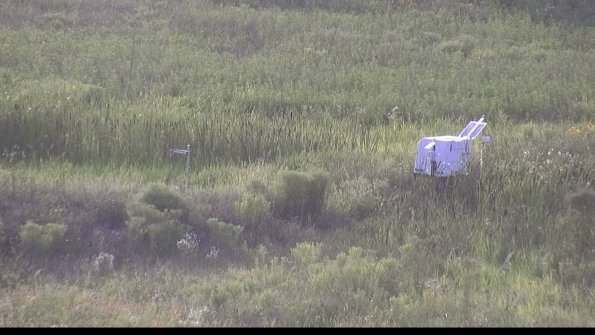 capture-5-23-07-31_19-37-10-92