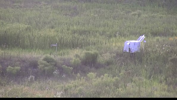 capture-5-23-07-31_19-51-06-80