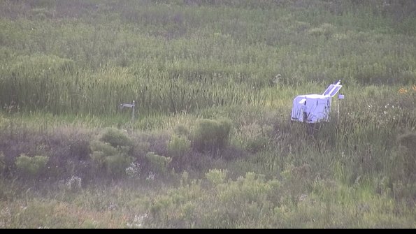 capture-5-23-07-31_19-59-46-85