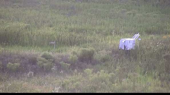 capture-5-23-07-31_20-04-06-65