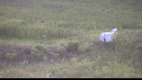 capture-5-23-07-31_20-08-26-84