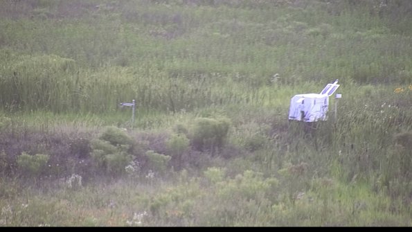 capture-5-23-07-31_20-19-16-59