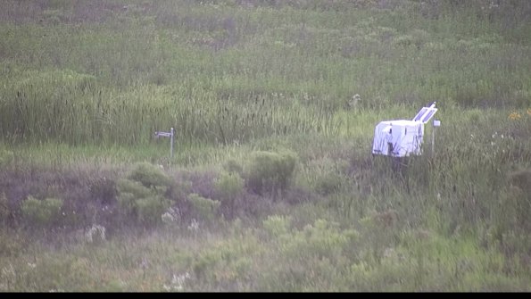 capture-5-23-07-31_20-23-36-79