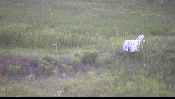 capture-5-23-07-31_20-25-46-72