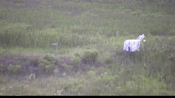 capture-5-23-07-31_20-32-16-78