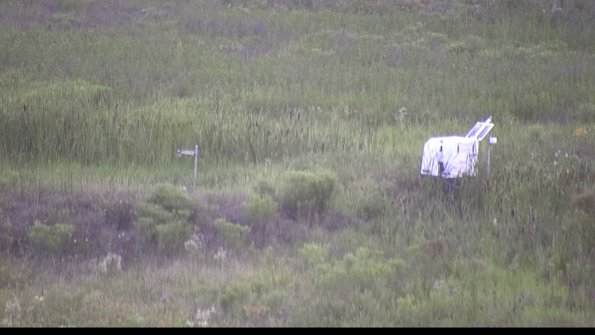 capture-5-23-07-31_20-40-56-77