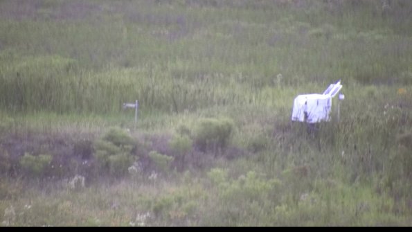 capture-5-23-07-31_20-49-36-76