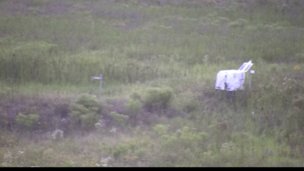 capture-5-23-07-31_20-56-06-88