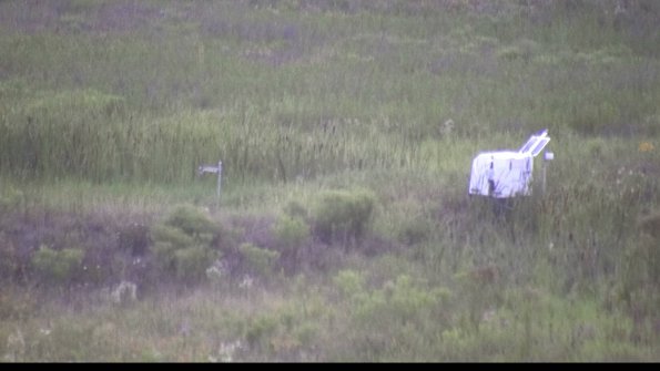 capture-5-23-07-31_20-58-16-85