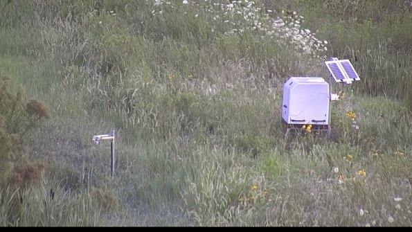 capture-6-23-07-31_07-13-33-36