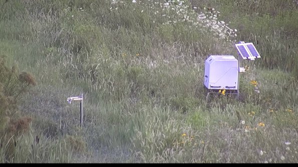 capture-6-23-07-31_07-15-43-29