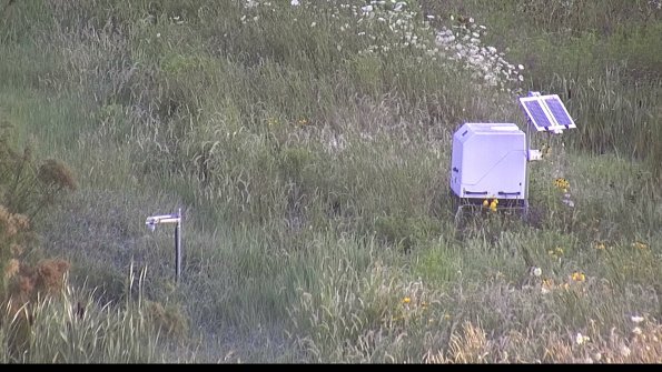 capture-6-23-07-31_07-28-42-65