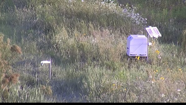 capture-6-23-07-31_07-48-12-86