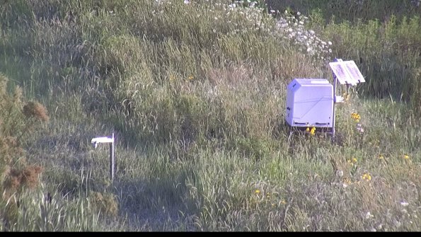 capture-6-23-07-31_07-52-33-02