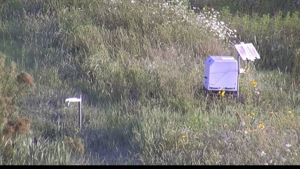 capture-6-23-07-31_07-54-42-95