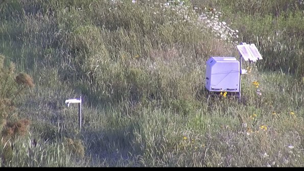 capture-6-23-07-31_07-59-03-27