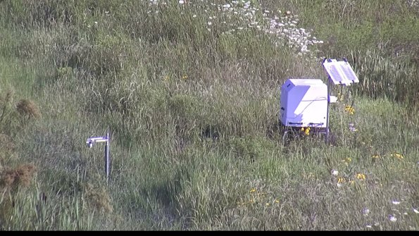 capture-6-23-07-31_09-14-53-05