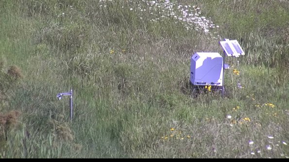 capture-6-23-07-31_10-34-03-53