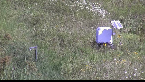 capture-6-23-07-31_10-36-14-32