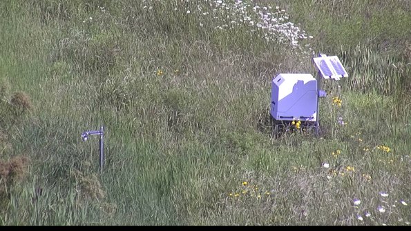 capture-6-23-07-31_10-51-24-04