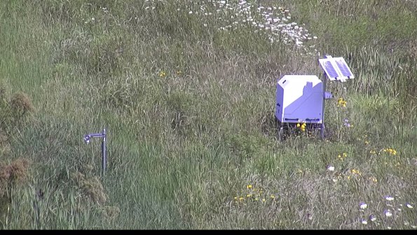 capture-6-23-07-31_11-15-13-44