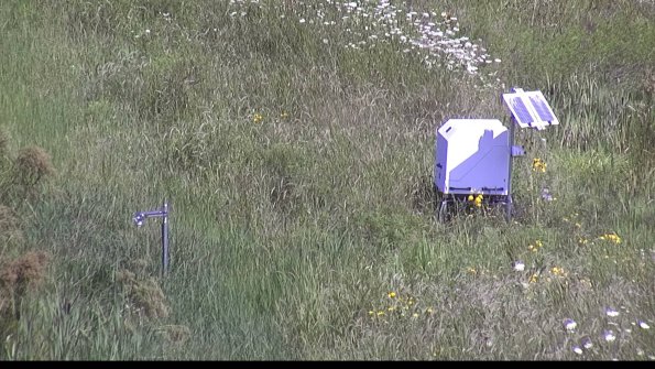 capture-6-23-07-31_11-17-24-27