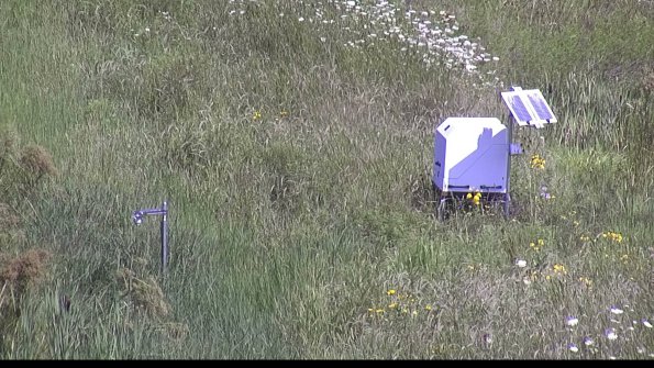 capture-6-23-07-31_11-19-34-27